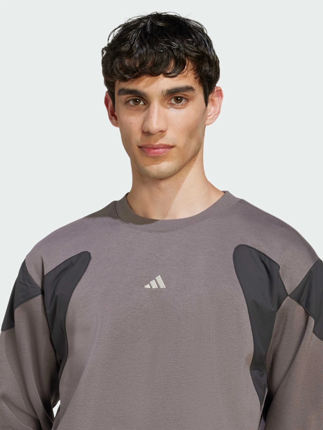 Худи и свитшоты Adidas модель JV8019 Фото