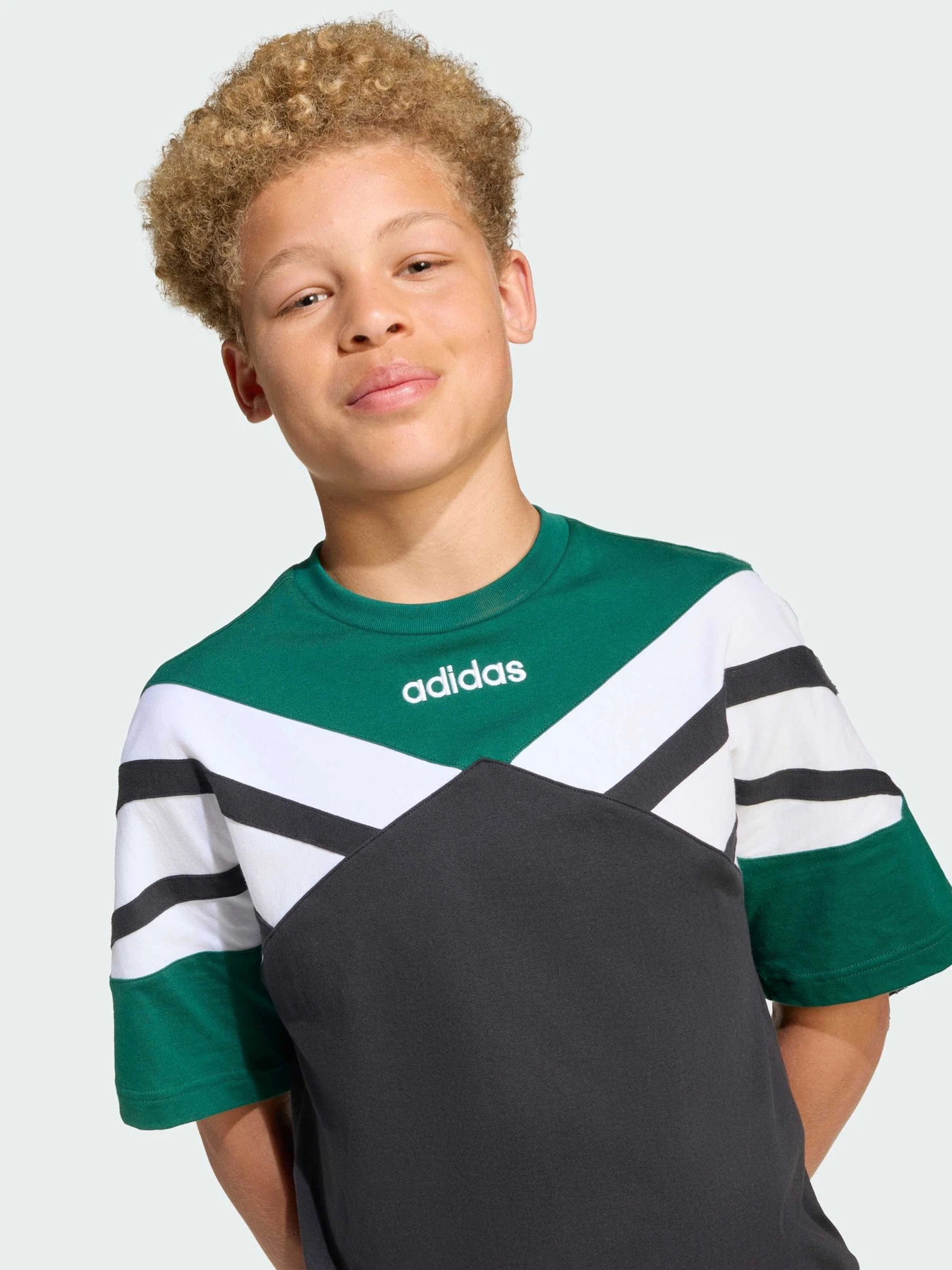 Футболки и поло Adidas модель JW9123 Фото