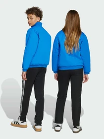 Брюки Adidas модель JV7677 Фото