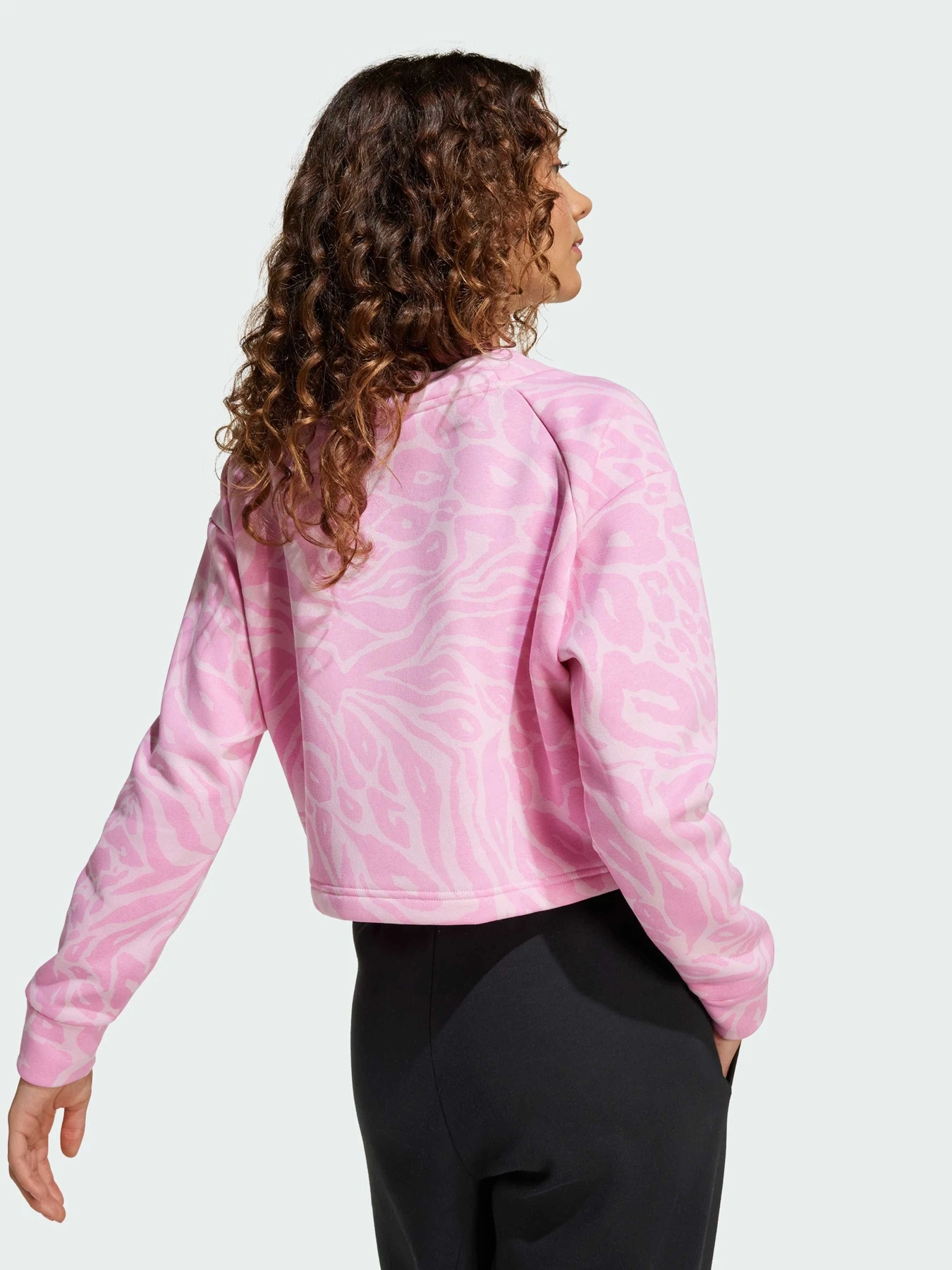 Худи и свитшоты Adidas модель JW7541 Худи и свитшоты Adidas модель JW7541 Фото