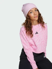 Худи и свитшоты Adidas модель JW7541 Фото