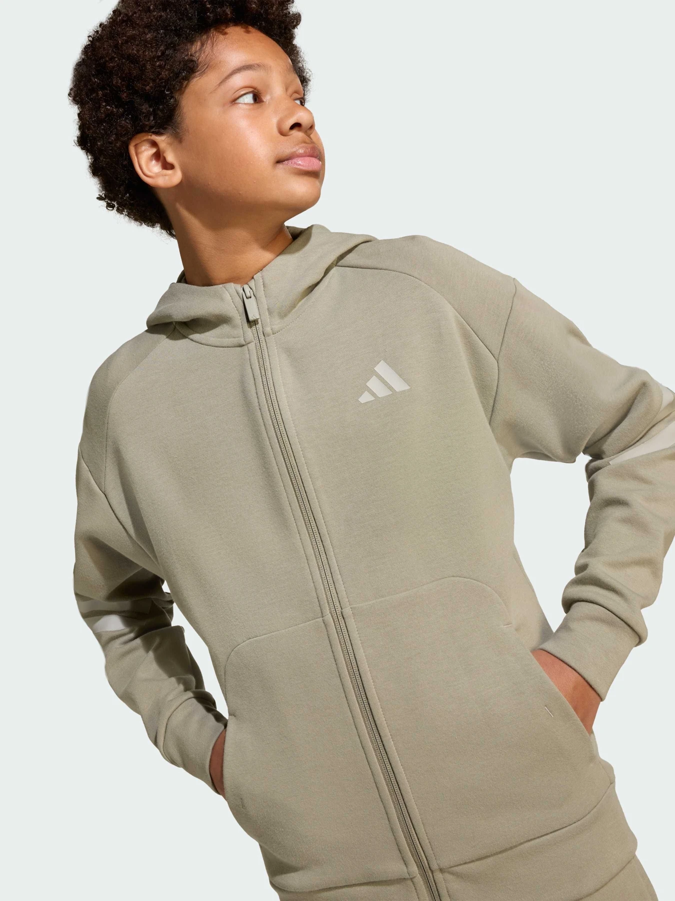 Худи и свитшоты Adidas 3 Stripes модель JW7526 Худи и свитшоты Adidas 3 Stripes модель JW7526 Фото