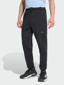 Штани Adidas модель JN3674 Фото