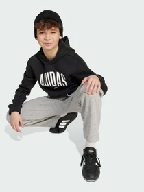 Худи и свитшоты Adidas модель JM1536 Фото
