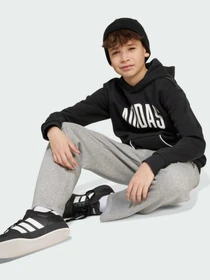 Худи и свитшоты Adidas модель JM1536 Фото