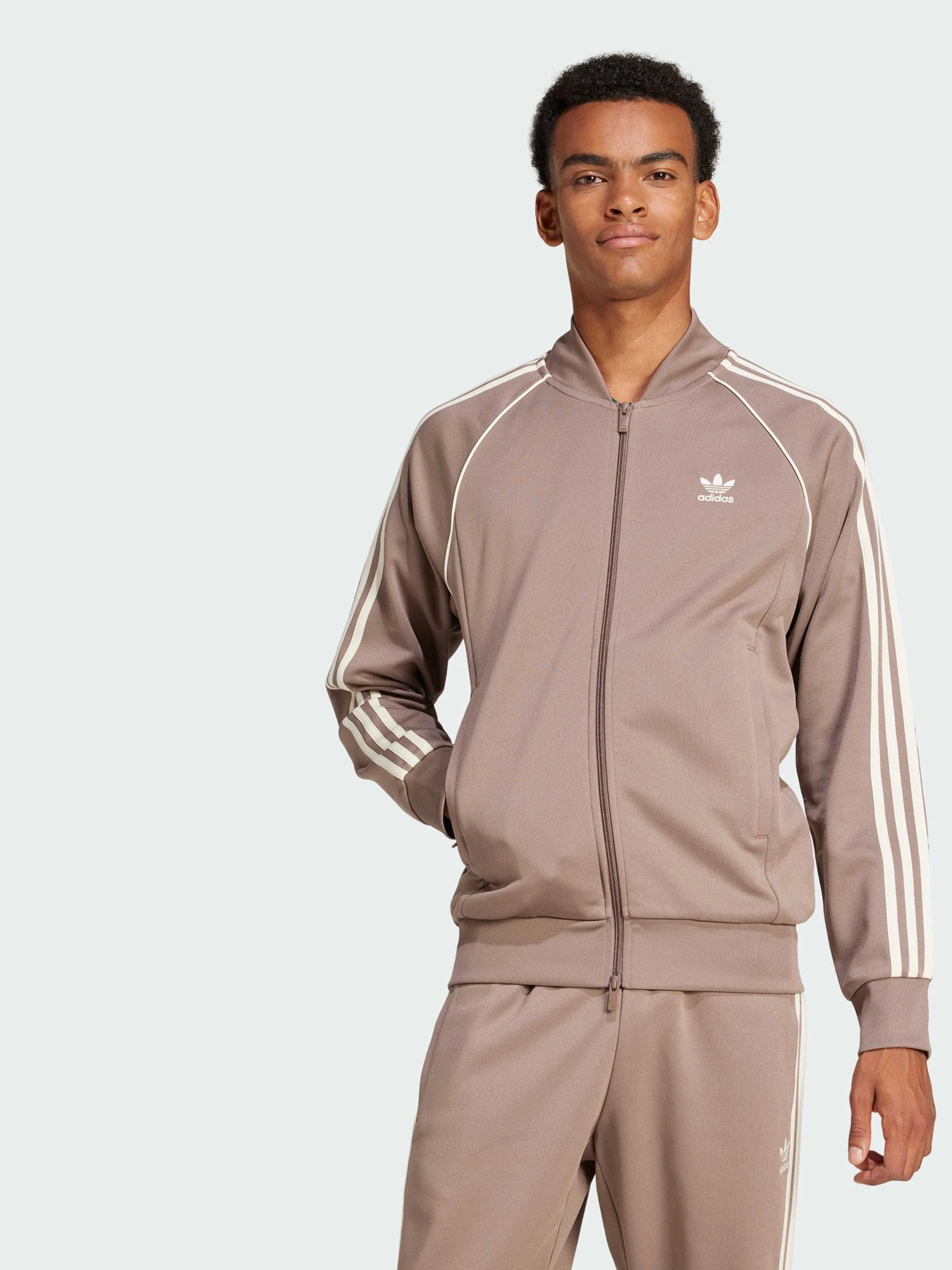 Худі та світшоти Adidas Adicolor модель JP2519 Фото