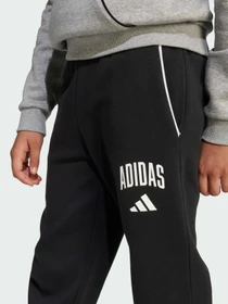 Брюки Adidas модель JM1538 Фото