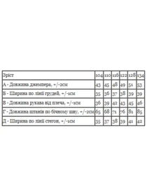 Костюмы Носи своє модель 6063-023-33-6-chornij-strong Фото