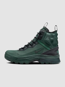 Ботинки и сапоги NIKE Acg Air Zoom Gaiadome Gore-Tex модель DD2858-300 Фото