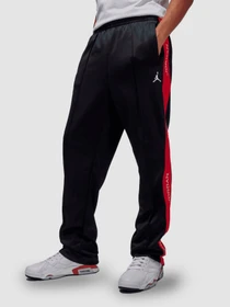 Брюки Jordan Essentials модель HF9341-011 Фото