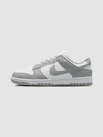 Кроссовки NIKE Dunk Low Next Nature модель DD1873-113 Фото