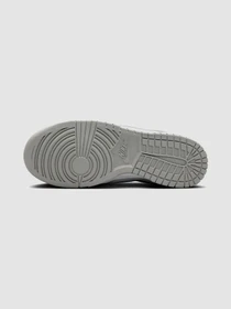 Кроссовки NIKE Dunk Low Next Nature модель DD1873-113 Фото