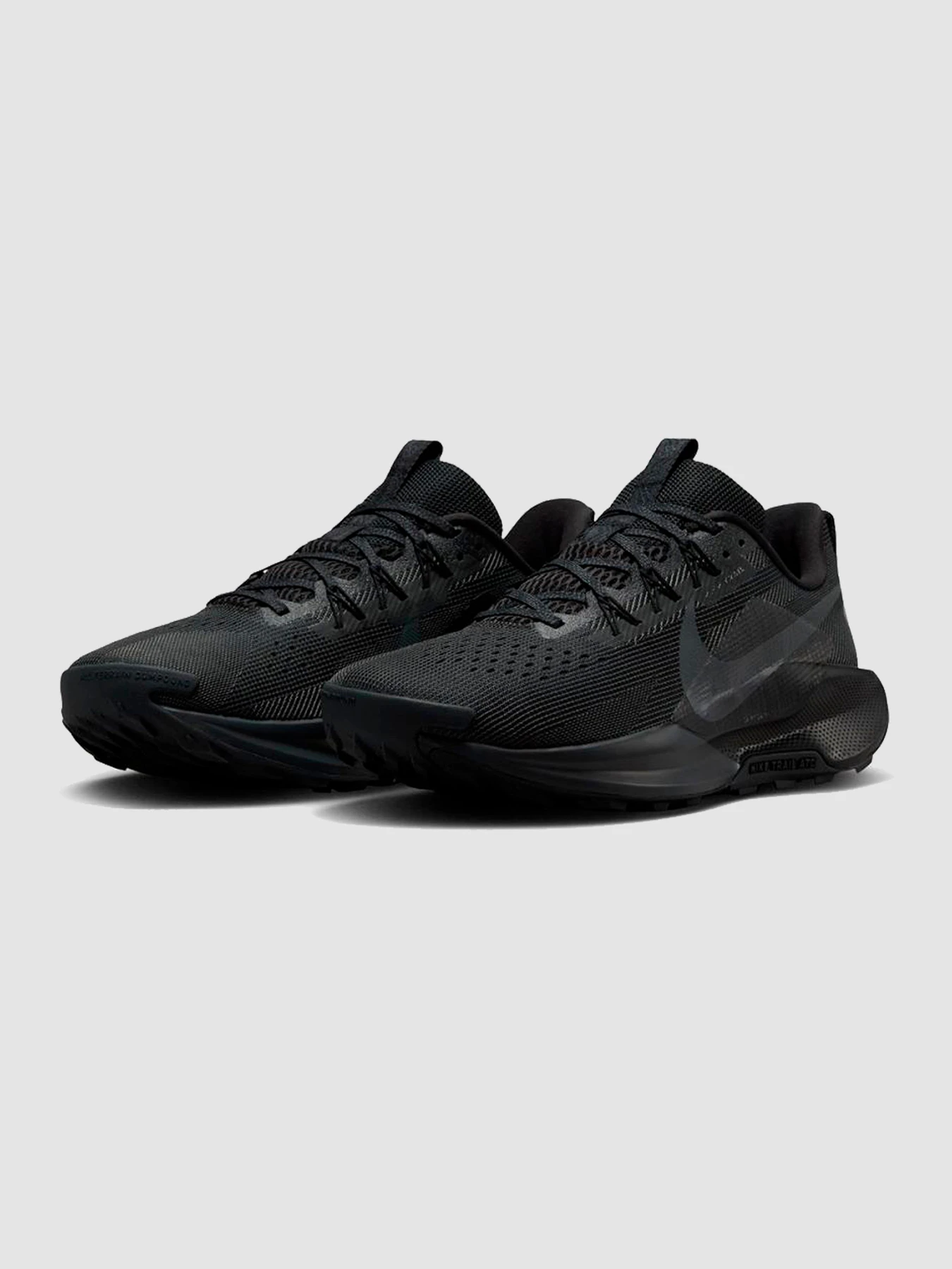 Кроссовки NIKE React X Pegasus Trail 5 модель DV3864-002 Фото