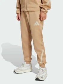 Штани Adidas ZNE модель JW4002 Фото