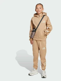 Штани Adidas ZNE модель JW4002 Фото