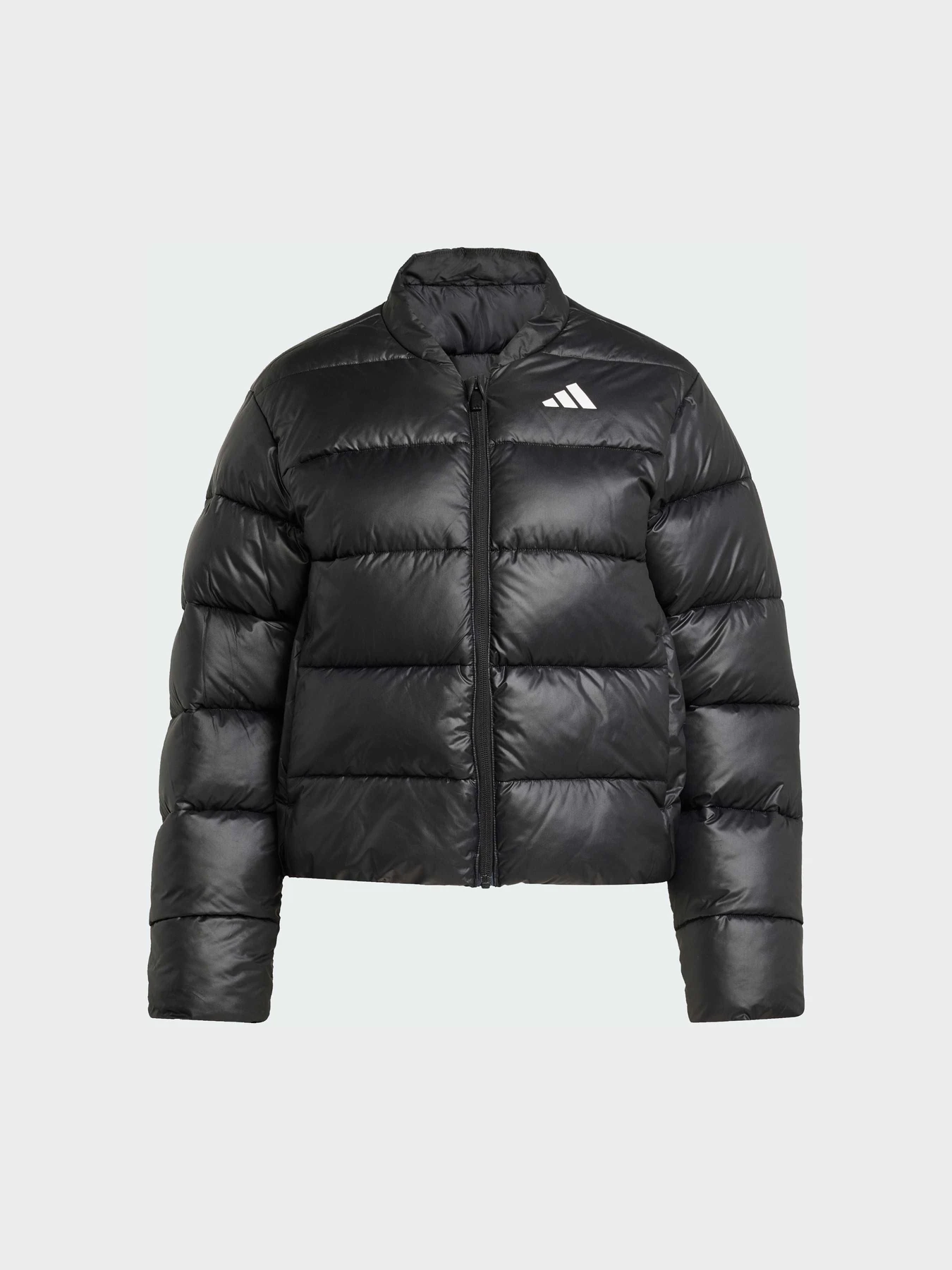 Куртки и дубленки Adidas модель JX7825 Фото