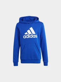 Худи и свитшоты Adidas модель IC6834 Фото