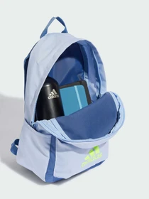 Рюкзаки Adidas модель IL8449 Фото