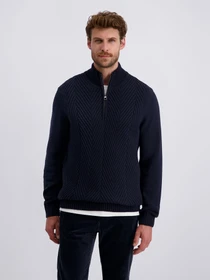 Светри та кардигани Pierre Cardin модель C5 51552.5117.6325 Фото