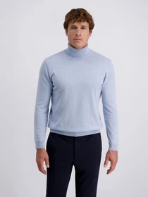 Свитры и кардиганы Pierre Cardin модель C5 51713.5133.6010 Фото