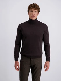 Свитры и кардиганы Pierre Cardin модель C5 51713.5133.8301 Фото