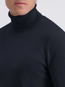 Свитры и кардиганы Pierre Cardin модель C5 51713.5133.6325 Фото