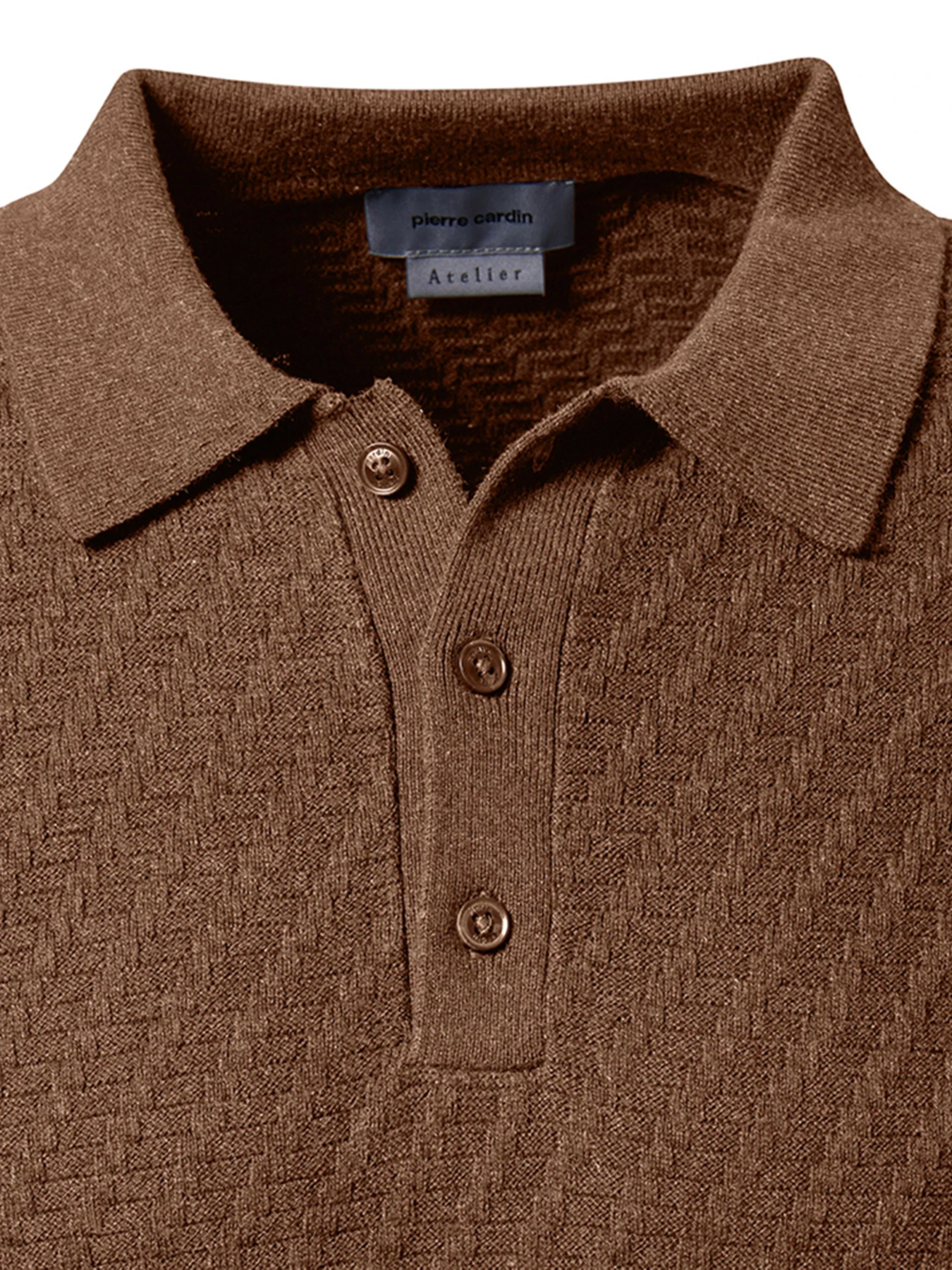 Футболки и поло Pierre Cardin модель C5 51734.5133.8018 Футболки и поло Pierre Cardin модель C5 51734.5133.8018 Фото
