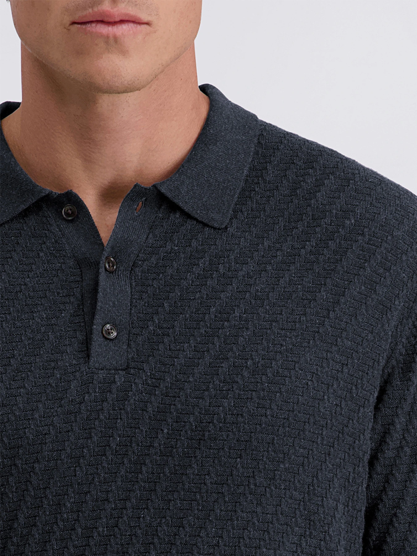 Футболки и поло Pierre Cardin модель C5 51734.5133.6325 Футболки и поло Pierre Cardin модель C5 51734.5133.6325 Фото
