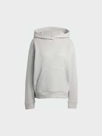Худі та світшоти Adidas модель JV5757 Фото
