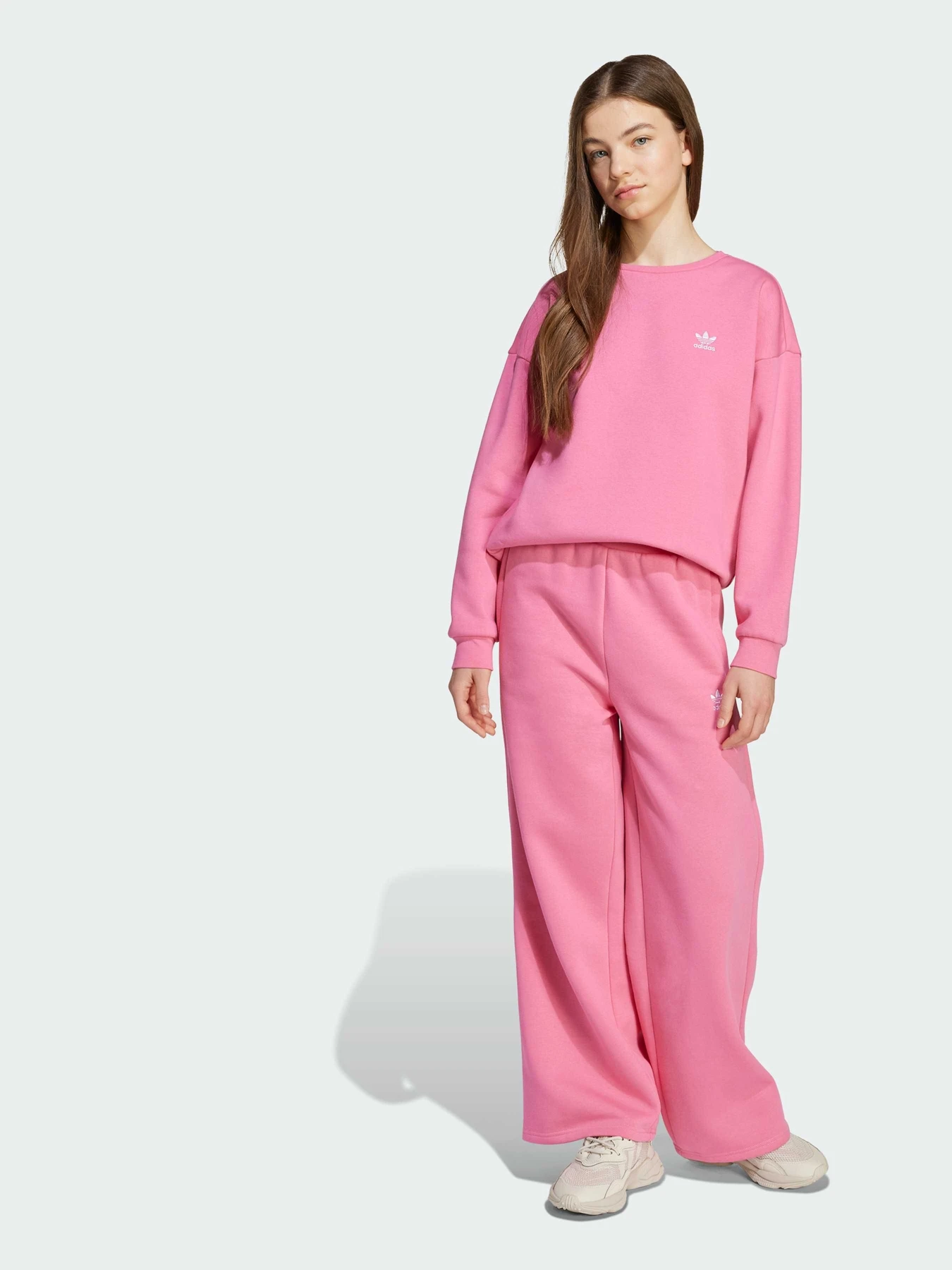 Худи и свитшоты Adidas модель JX2749 Фото