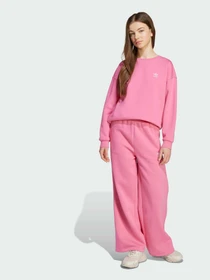 Худи и свитшоты Adidas модель JX2749 Фото