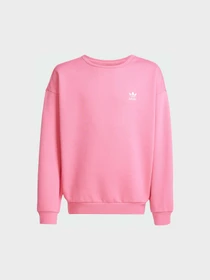 Худи и свитшоты Adidas модель JX2749 Фото