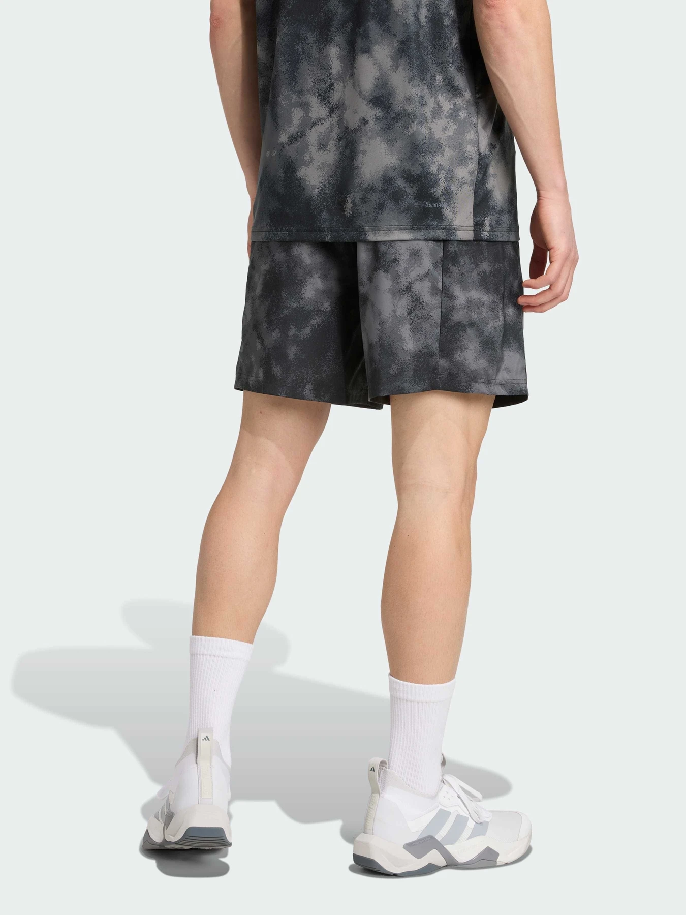 Шорты Adidas модель JV7246 Шорты Adidas модель JV7246 Фото