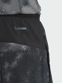 Шорты Adidas модель JV7246 Фото