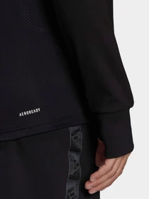 Худи и свитшоты Adidas Clima модель GV5302 Фото