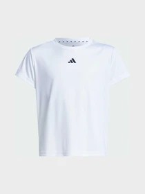 Футболки і поло Adidas модель JJ1066 Фото