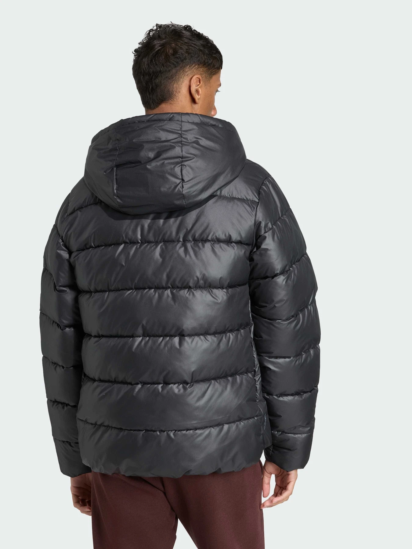Куртки и дубленки Adidas модель JX7787 Фото