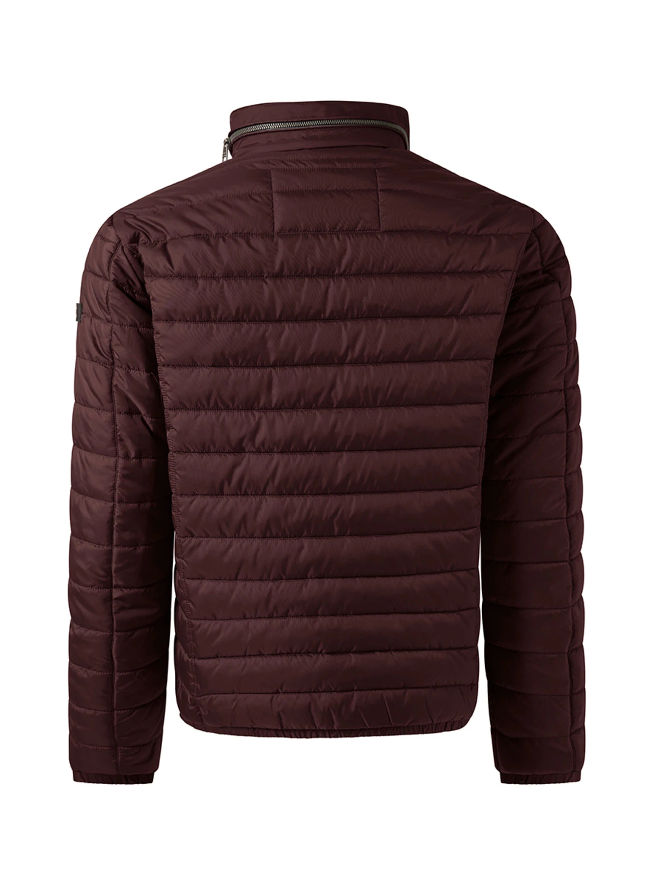 Куртки и дубленки Pierre Cardin модель C8 10172.0090.4313 Фото