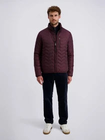Куртки и дубленки Pierre Cardin модель C8 10172.0090.4313 Фото