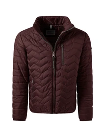 Куртки и дубленки Pierre Cardin модель C8 10172.0090.4313 Фото