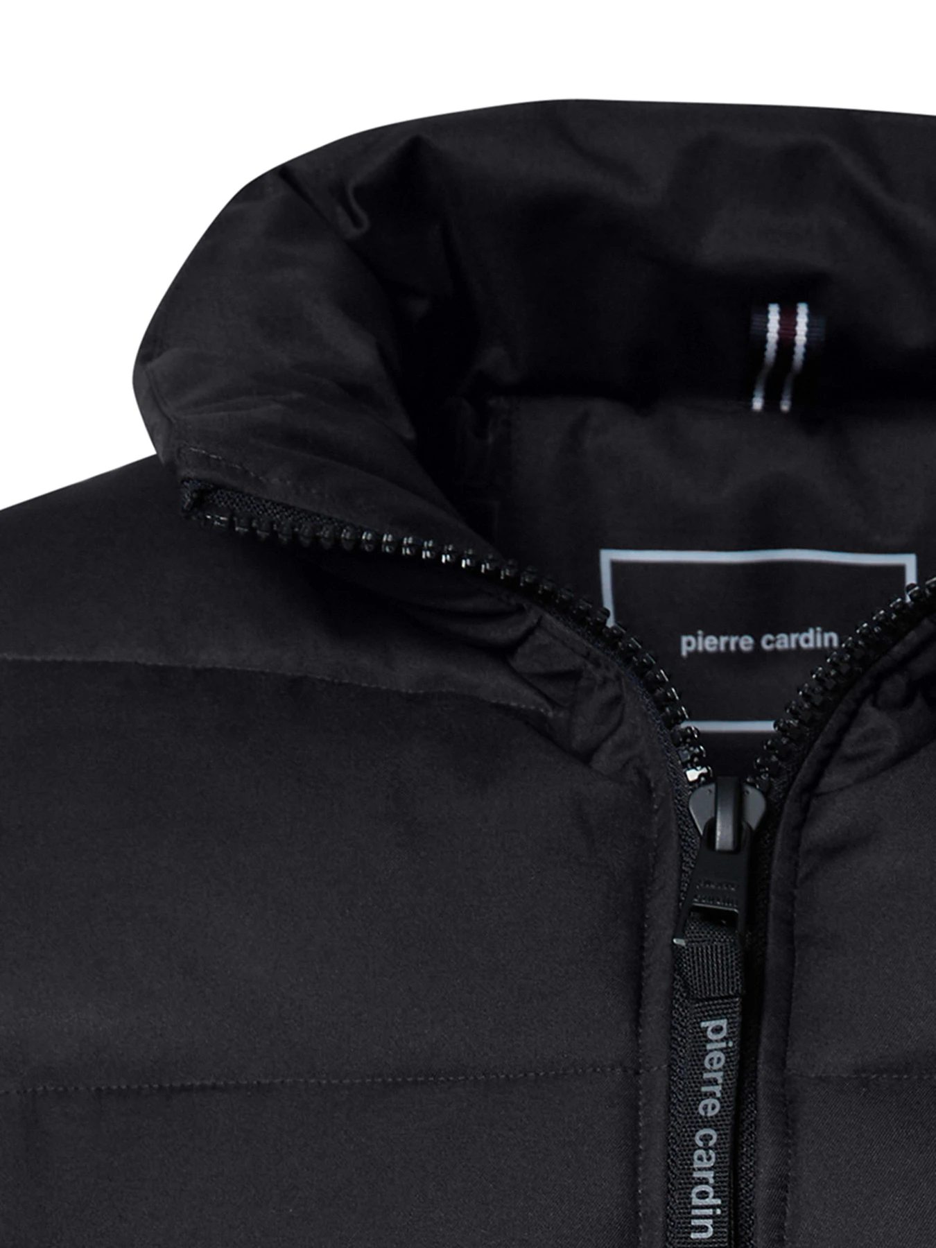 Куртки и дубленки Pierre Cardin модель C8 10180.0097.9000 Фото