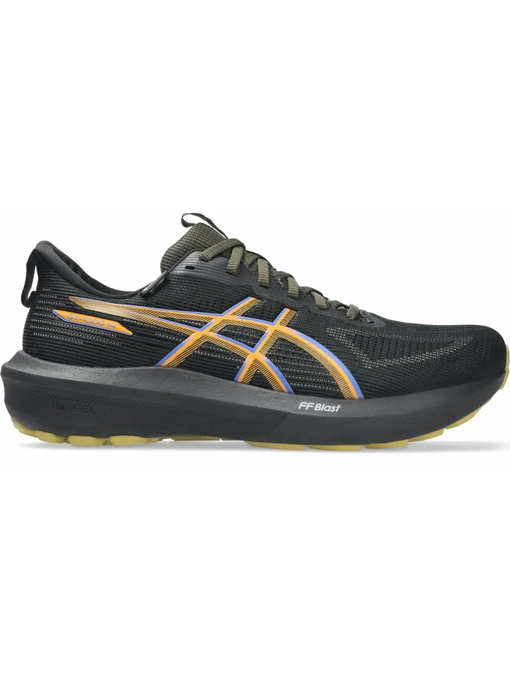 Кросівки Asics Gt-1000 14 gtx модель 1011C078-001 Фото