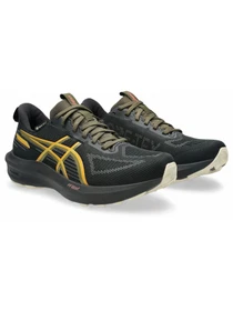Кроссовки Asics Gt-1000 14 gtx модель 1012B857-001 Фото