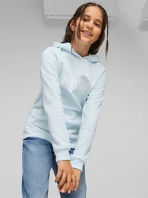 Худи и свитшоты PUMA Ess Logo Hoodie модель 587031 Фото