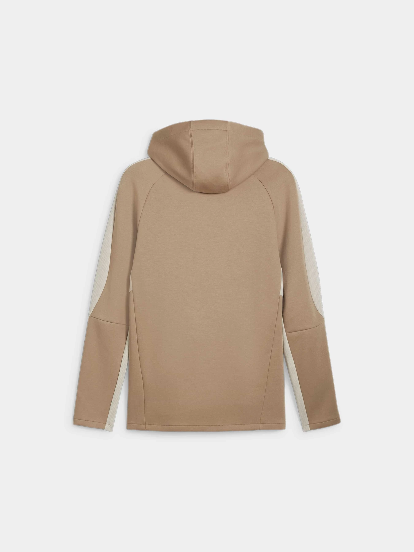 Худі та світшоти PUMA Evostripe Hoodie модель 681699 Фото