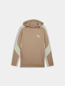 Худі та світшоти PUMA Evostripe Hoodie модель 681699 Фото