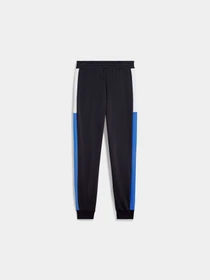 Брюки PUMA Ess Block Sweatpants модель 684689 Фото