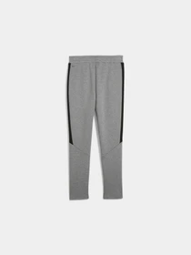 Брюки PUMA Evostripe Core Pants модель 631533 Фото