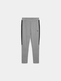 Брюки PUMA Evostripe Core Pants модель 631533 Фото
