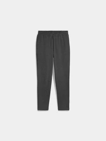 Брюки PUMA Ess No. 1 Logo Sweatpants модель 682610 Фото